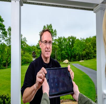 professional bee removal